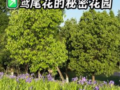 -白鹭湾湿地公园