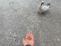 -西安大兴善寺