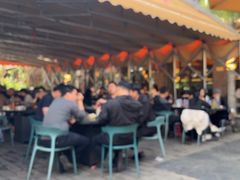 -都江堰石锅鱼