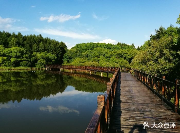 淨月潭國家森林公園景點圖片 - 第48張