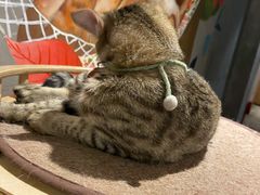 -么么咖啡(燕郊店)