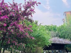 -北极寺公园