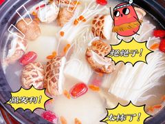 -花苑美食横琴生蚝火锅(拱北粤华路店)