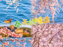 -颐和园