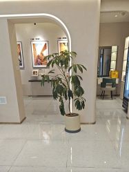 -小阿福儿童摄影(光谷时代广场店)