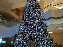 -上海新发展亚太JW万豪酒店