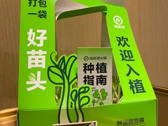 -海底捞火锅(宝龙广场夜宵主题店)