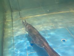 -漓江又一軒·广西菜·桂林米粉(梅林店)