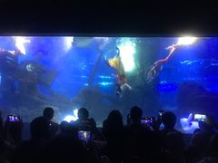 -江和美海洋公园