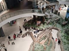 -辽宁古生物博物馆