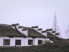 -金泽古镇