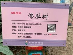 -呀路古热带植物园