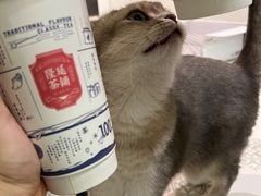 -隆延茶铺(学清路驹然店)