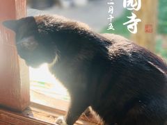 -西园戒幢律寺