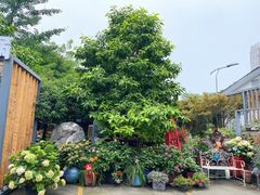 -凤来栖·净庭院·火锅(欧尚店)