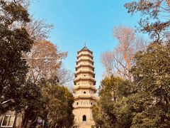 -灵谷景区