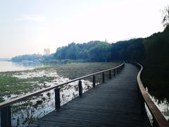 -长广溪湿地公园