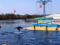 -秦皇岛乐岛海洋王国