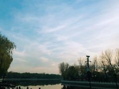 -天泽祥·鼓楼馒头(鼓楼店)