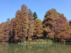 -中国科学院华南植物园