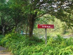 -李小龙乐园(顺德均安店)