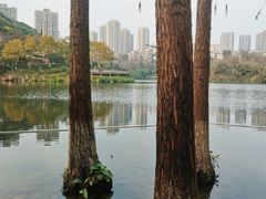 -重庆彩云湖湿地公园