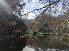 -阿哈湖国家湿地公园