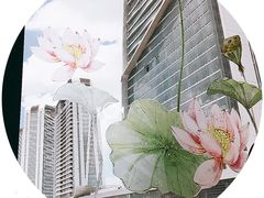 景观位-金厨泰国餐厅·全泰籍厨师料理(拱北店)