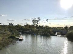 -上海长兴岛郊野公园