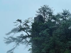-恩施大峡谷