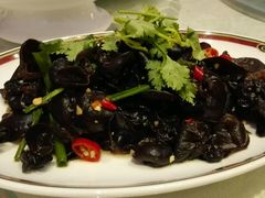 -成都天府丽都喜来登饭店