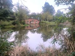 -白鹭湾湿地公园