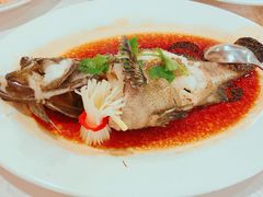 -顺峰(农展馆店)