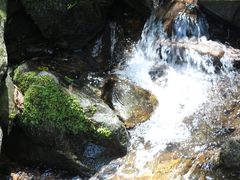 -藏龙百瀑风景区