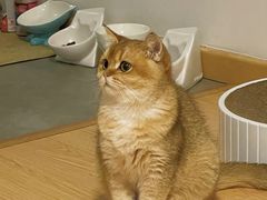 -安安宠医·安宠宠物医院