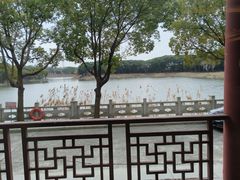 -渭塘酒家(生态园店)