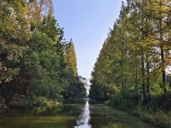 -上海长兴岛郊野公园