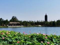 -西海子公园