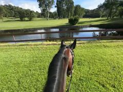 -松声马术俱乐部