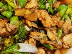 -滇铺子·云南特色菜·第九届野生菌美食节(东风东路c86店)