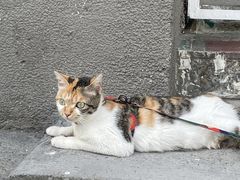 -Again Coffee Roaster(香蜜湖店)