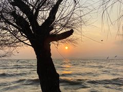 -捞渔河湿地公园