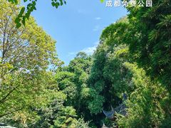 -望江楼公园