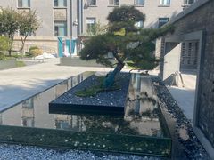 -庐灶江南·江南菜·四合院Bistro(东直门雍和宫·原华侨宾馆店)