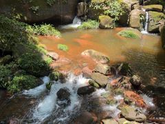 -赤水丹霞旅游区·佛光岩