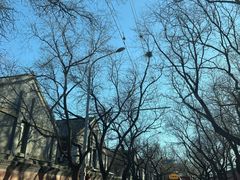 -首都医科大学附属北京友谊医院(西城院区)