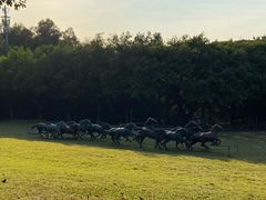 -广州雕塑公园