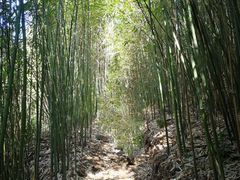 -井空里大峡谷