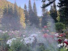 -深圳仙湖植物园
