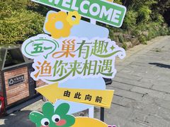 -巢湖姥山岛